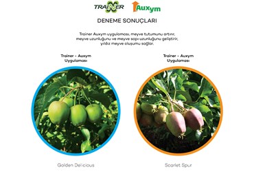 Trainer - Auxym Uygulaması
