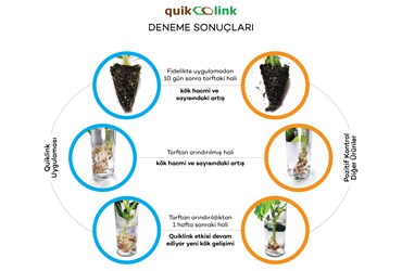 Quiklink Deneme Sonuçları