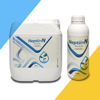 Neptun-N