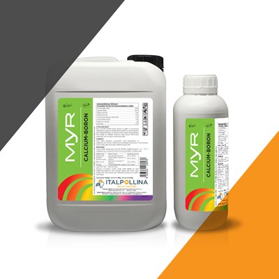 Myr Calcium Boron