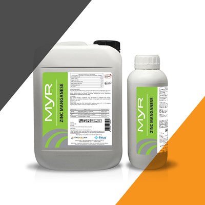 Myr Zinc Manganese